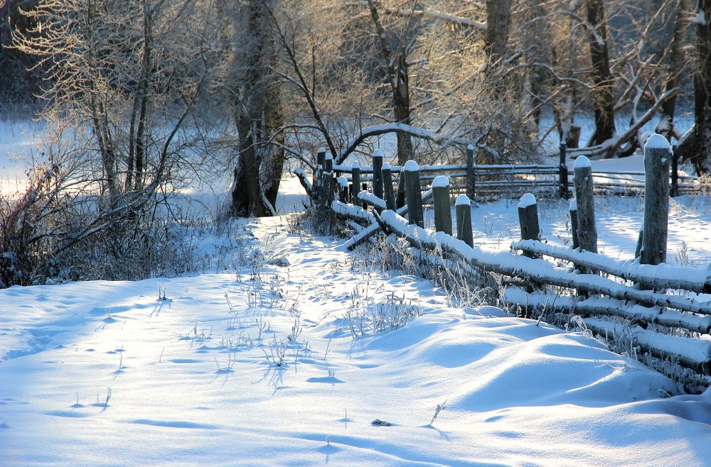 Старый огород