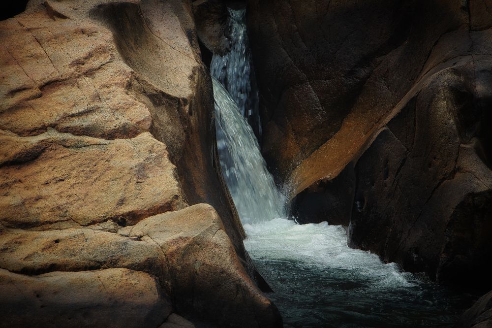 Photograph by Людмила Савчук