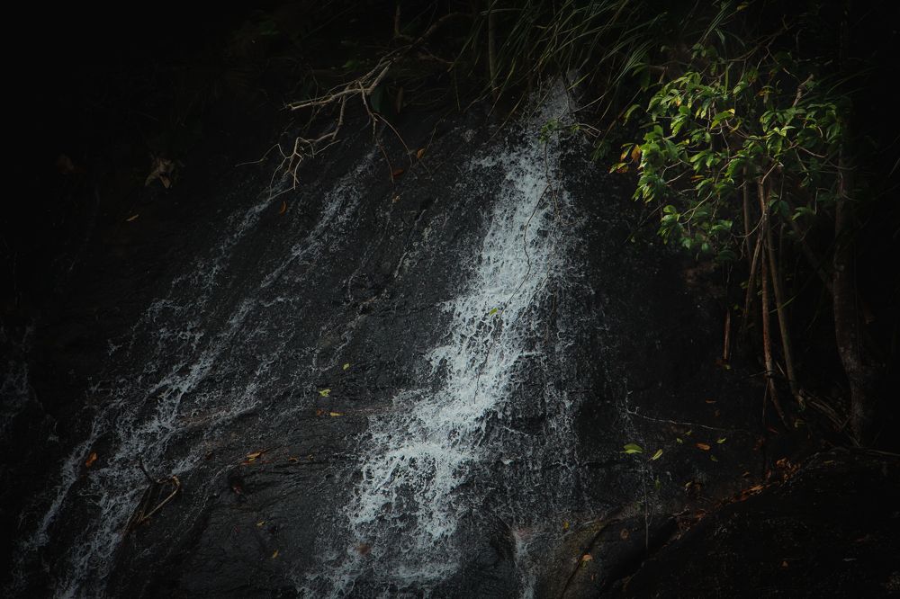 Photograph by Людмила Савчук