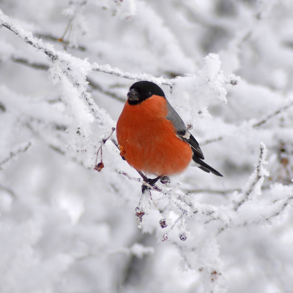 Photograph by Andrey