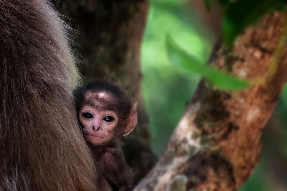 A child\'s curiosity