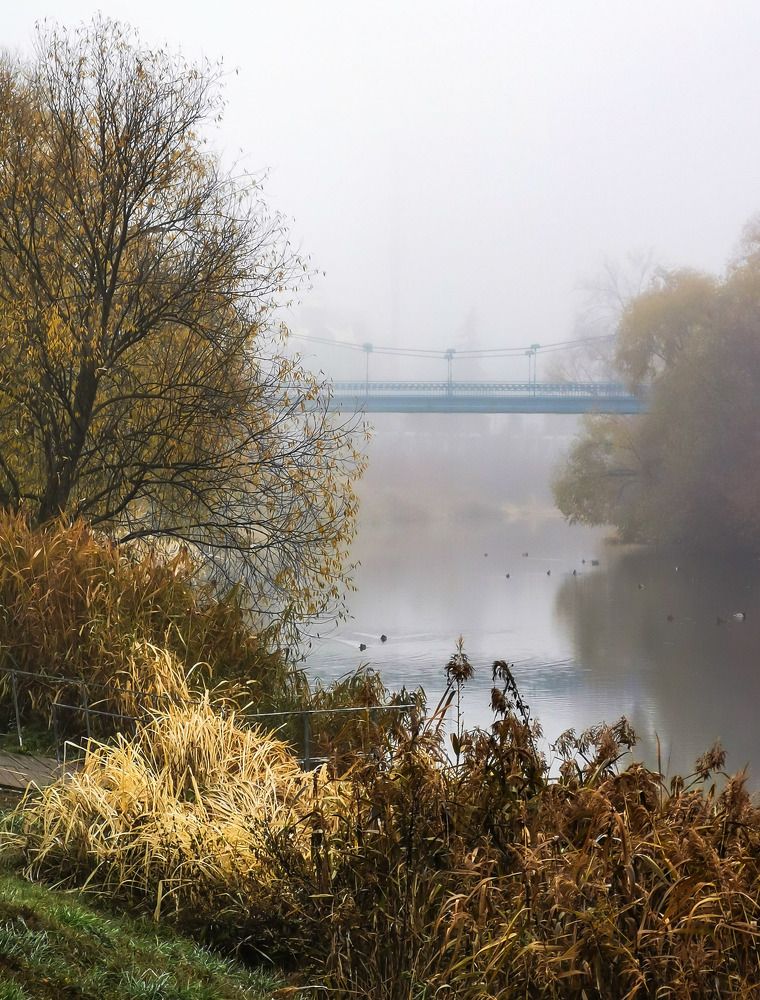 Photograph by Ирина Левакова