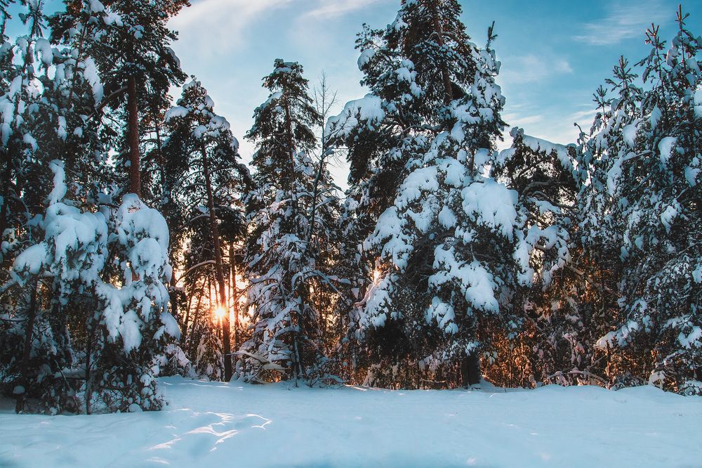 Photograph by Светлана Гущина