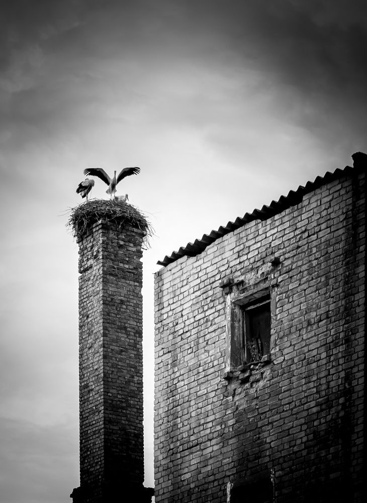 Photograph by Константин Гончаров