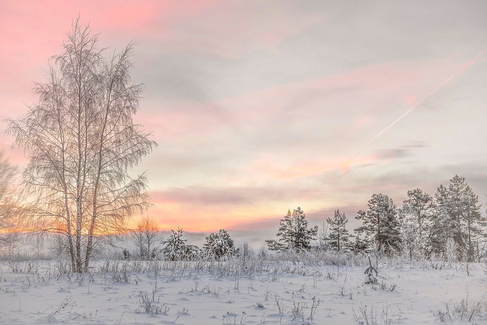 Photograph by Лариса Петрова