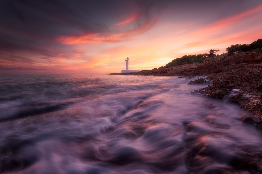 Photograph by Camacho Anto