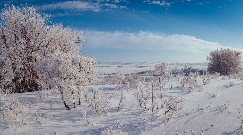 Photograph by Денис Кошкин