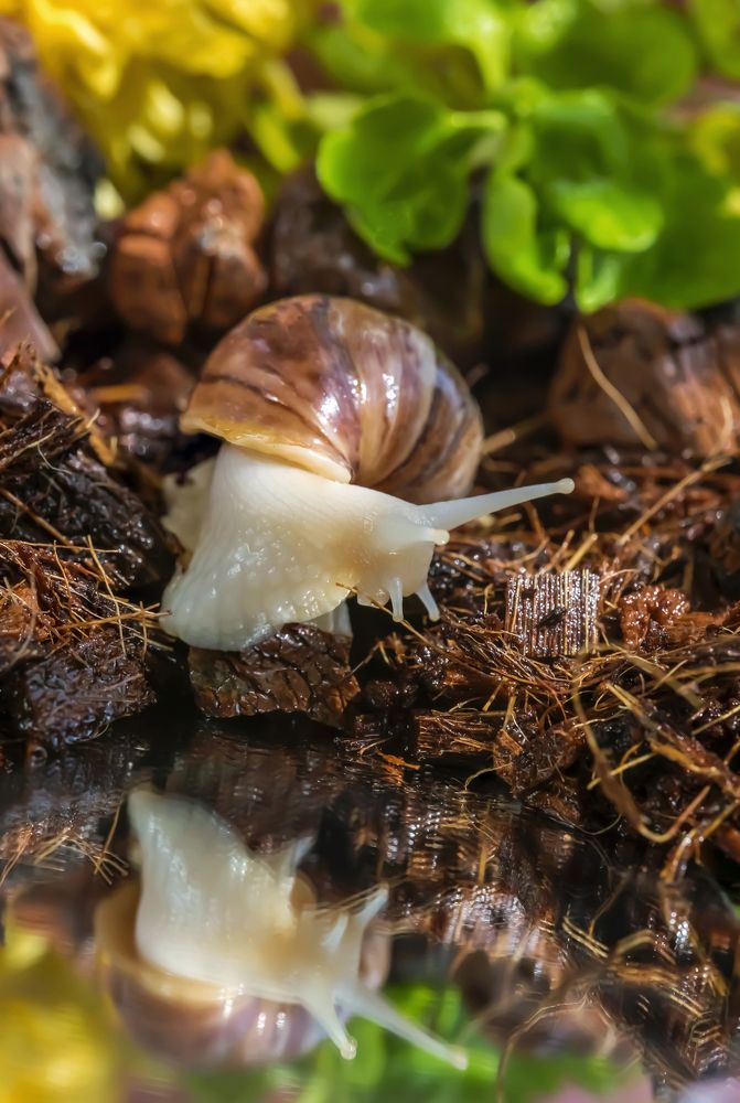 Photograph by Эльвира