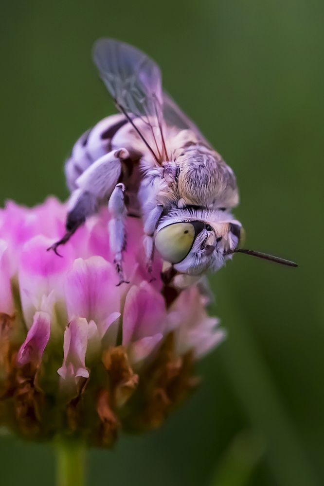 Photograph by Эльвира