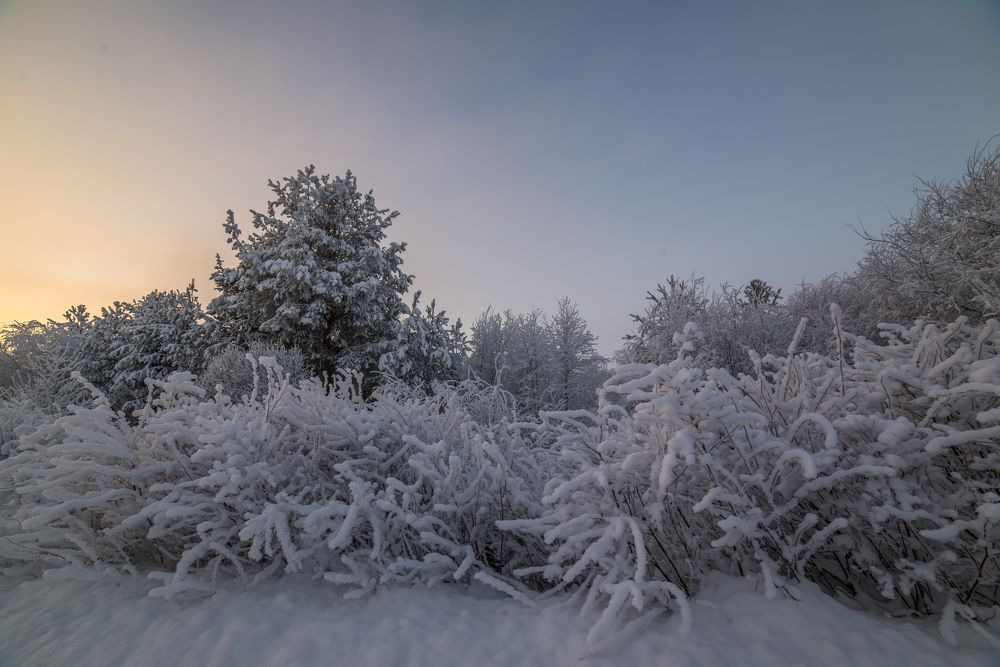 Photograph by Николай Лысцев