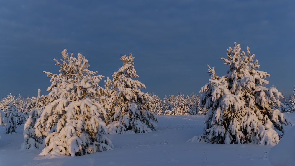Photograph by Елена Вотинцева