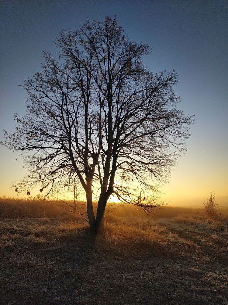 Photograph by Роман