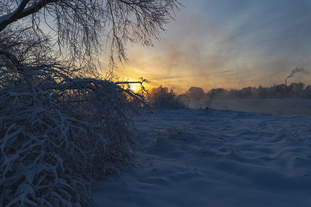 Photograph by Roman Adler