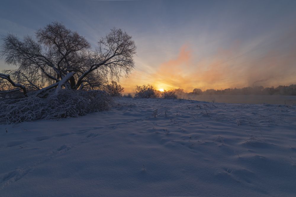 Photograph by Roman Adler