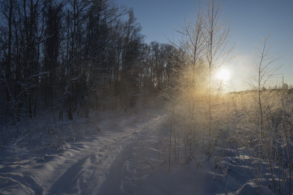 Photograph by Roman Adler