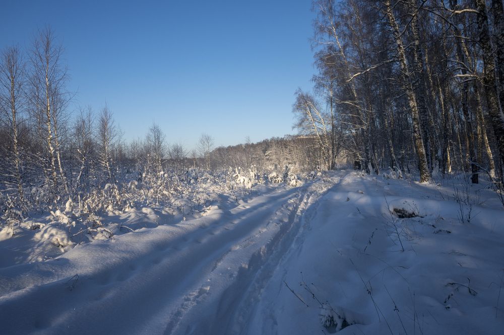 Photograph by Roman Adler