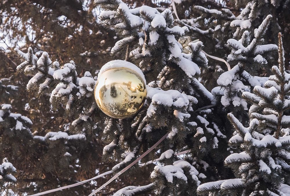 Photograph by Ирина Яук