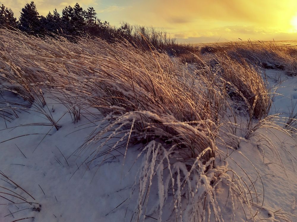 Фотография автора Aneda Antanaviciute