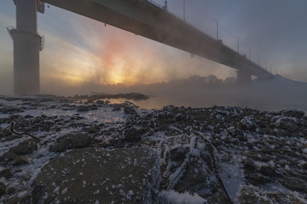 Photograph by Roman Adler