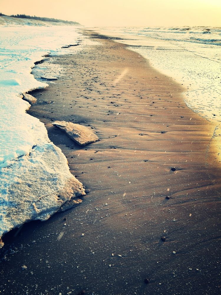 Фотография автора Aneda Antanaviciute