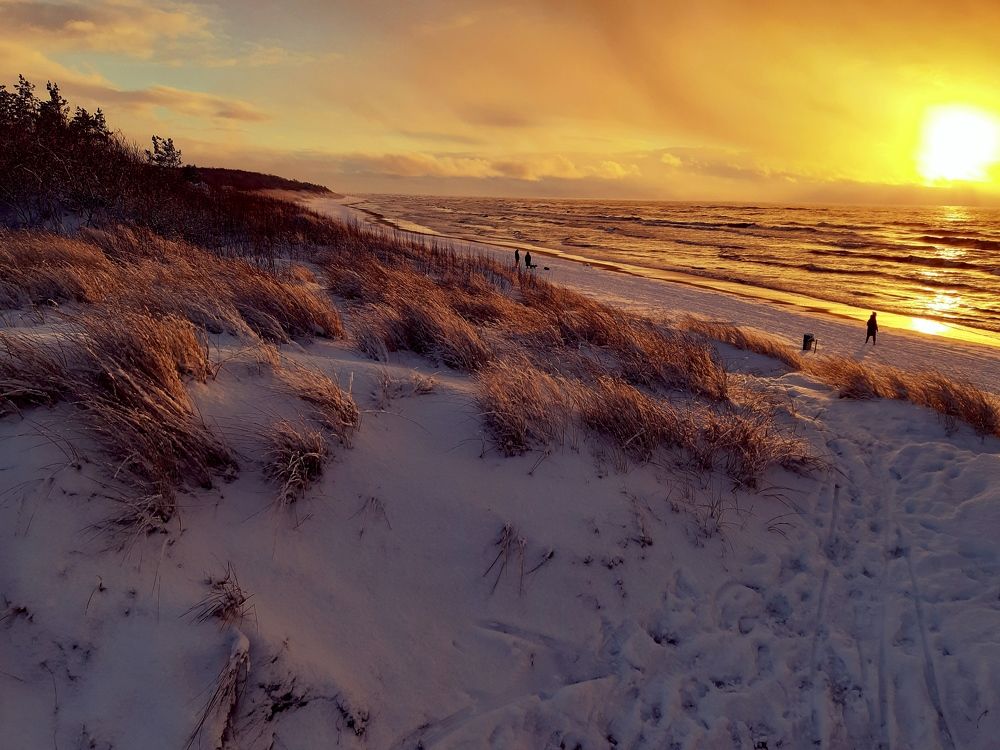 Фотография автора Aneda Antanaviciute