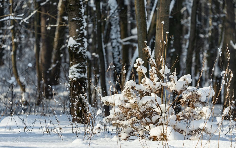 Photograph by Сергей Басов