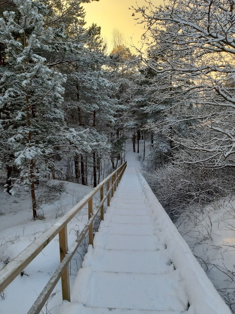 Фотография автора Aneda Antanaviciute