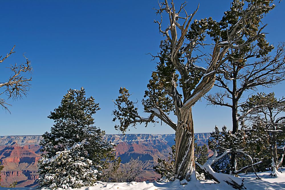 Несломленный