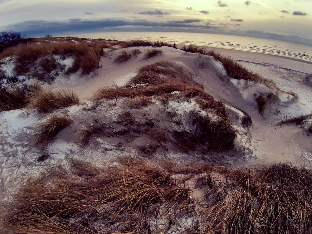 Фотография автора Aneda Antanaviciute