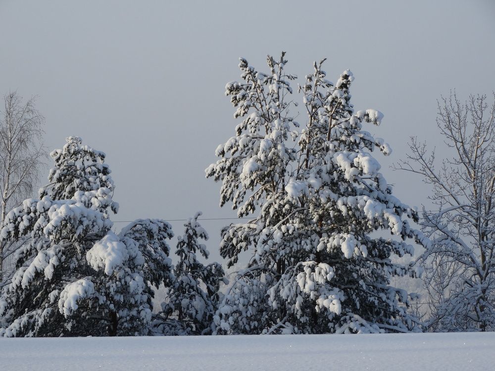 Photograph by Николай Худяков