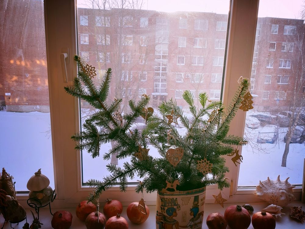 Фотография автора Aneda Antanaviciute