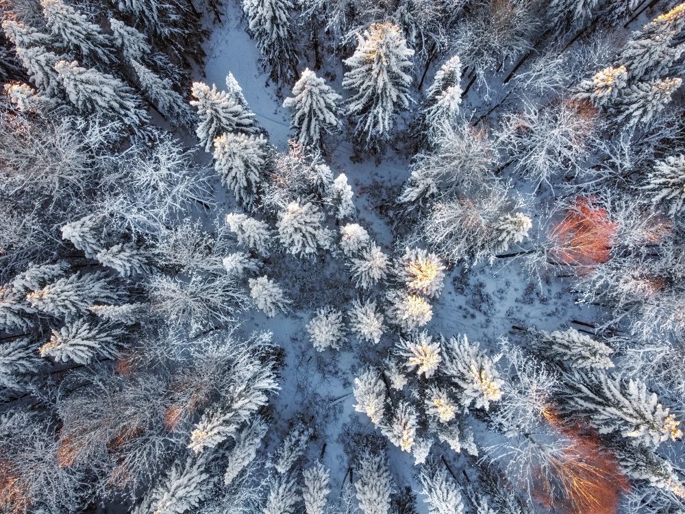 Photograph by Андрей Малыгин