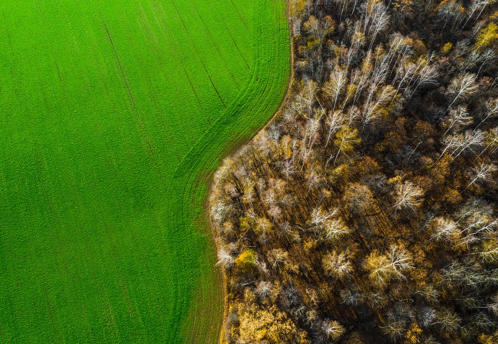 Photograph by Филиппов Дмитрий