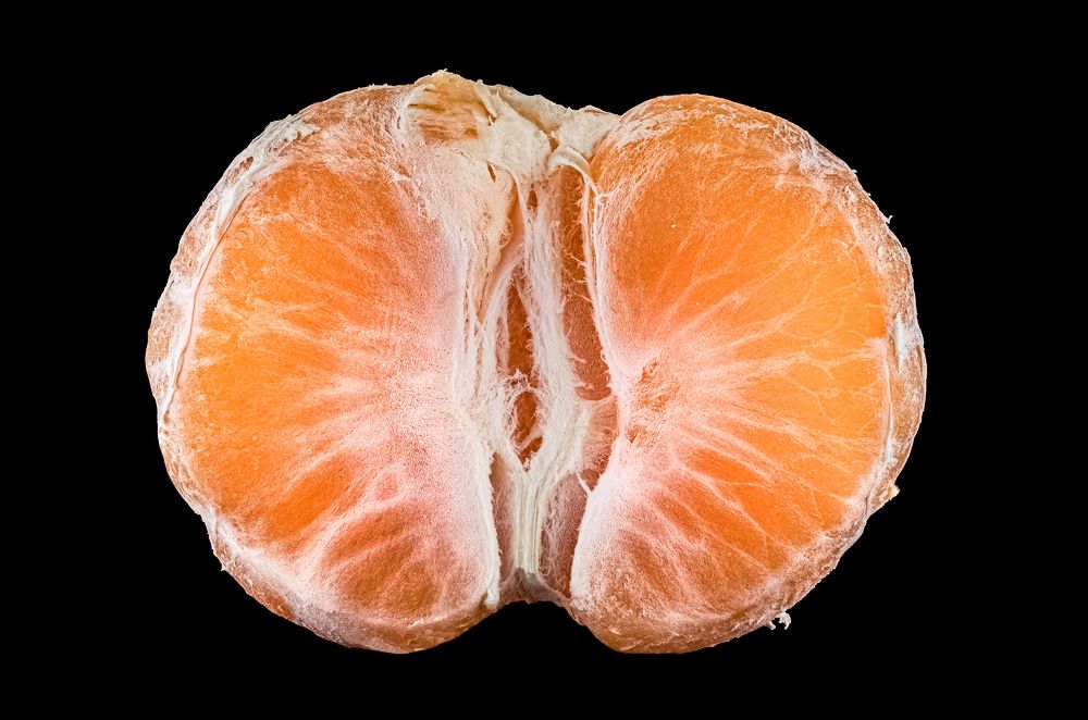 Photograph by Ata Hassanzadeh.D