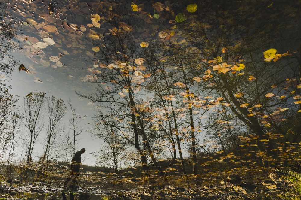 Photograph by Gul Yildiz