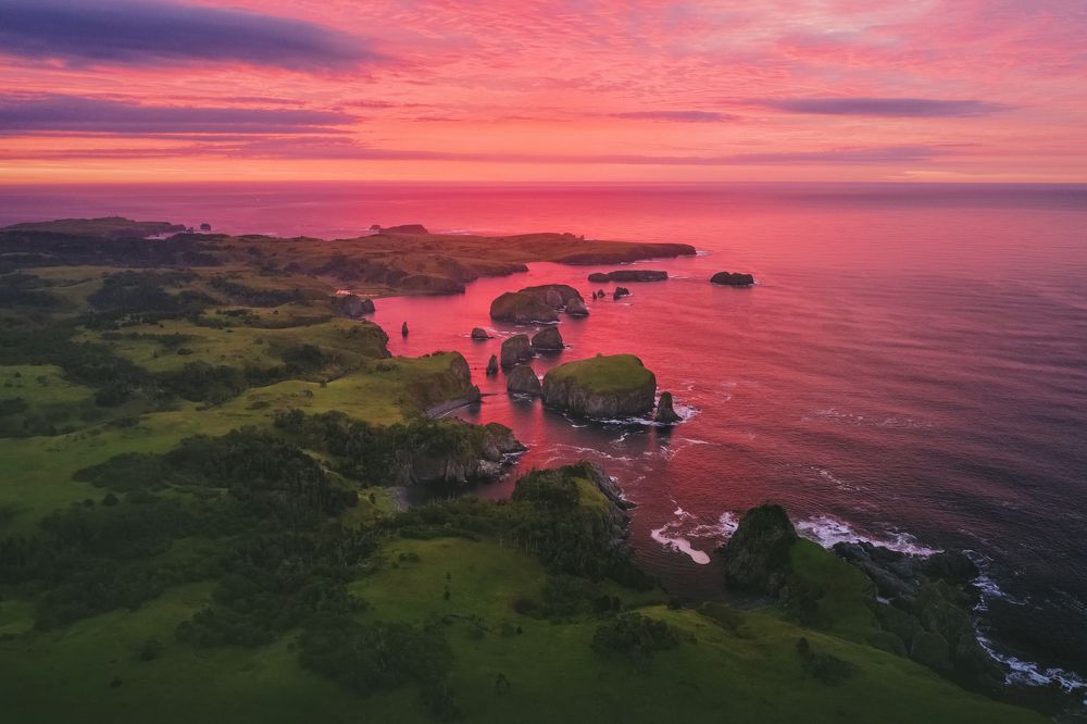 Фотография автора Разум Митя