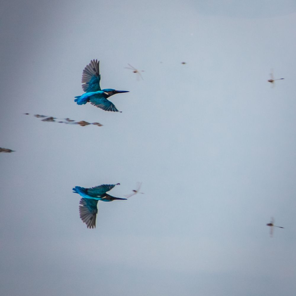 Photograph by Ashish Kalsarpe