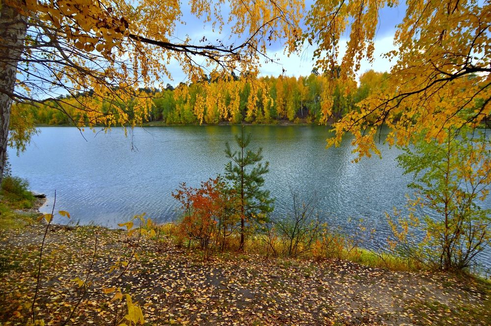 Фотография автора Клавдия Васильева
