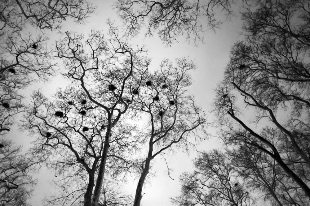 Photograph by Елена Брынько