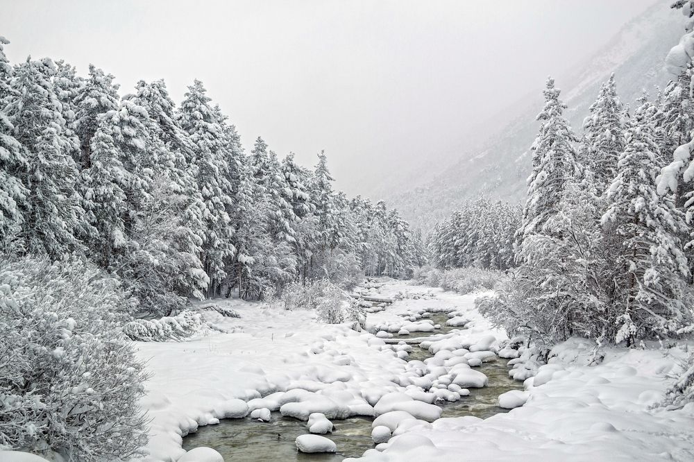 Photograph by Елена Ковалева