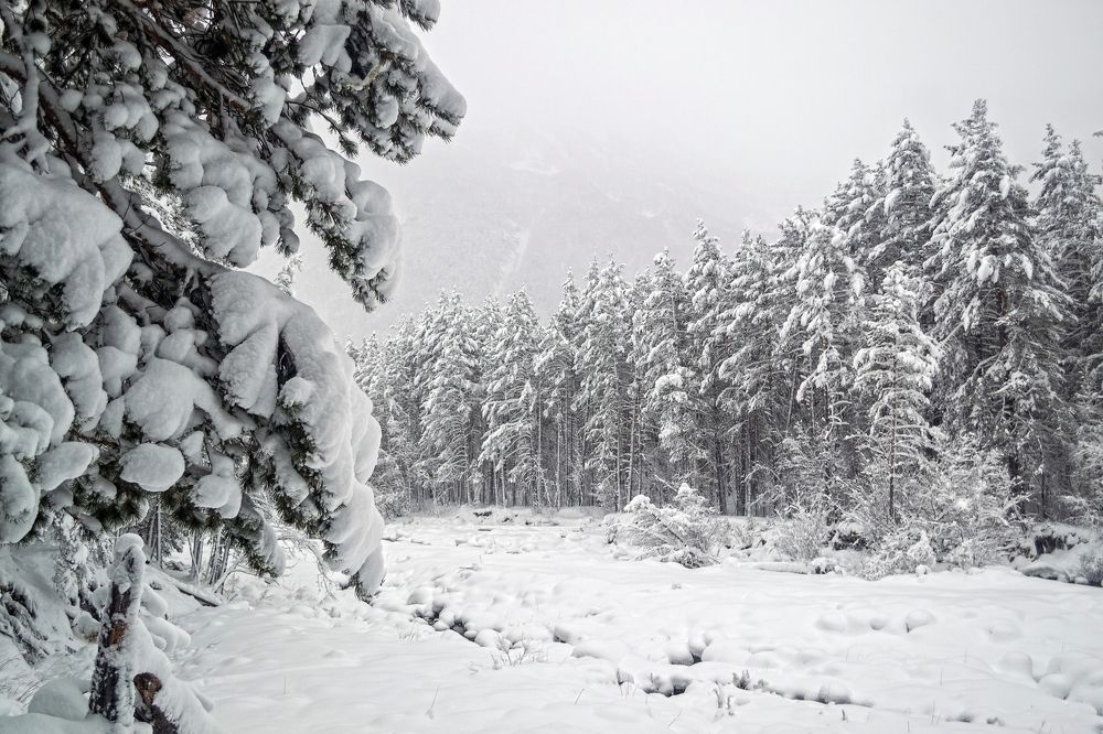 Photograph by Елена Ковалева