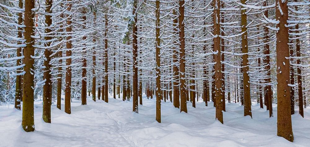 Photograph by Epp Tappel