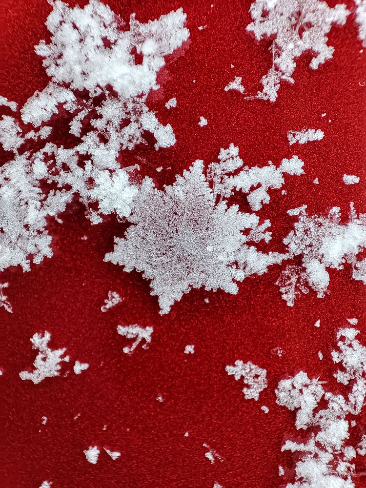 Photograph by Оксана