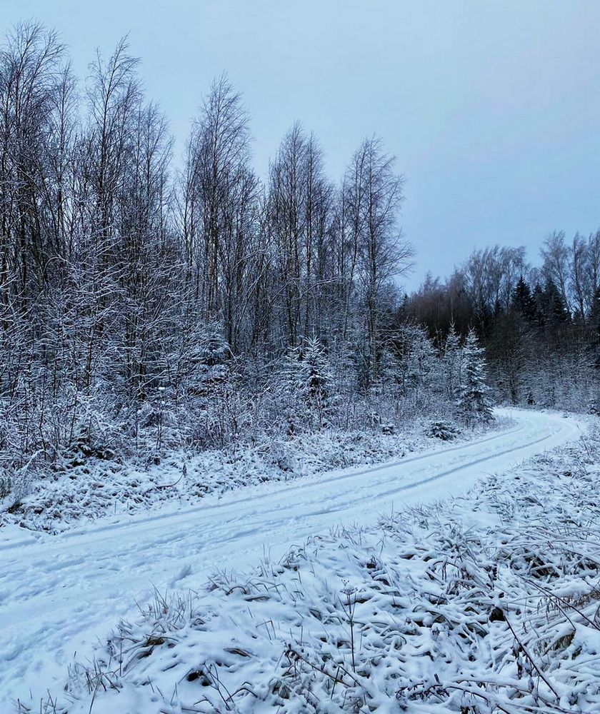 Photograph by Galina Leskova