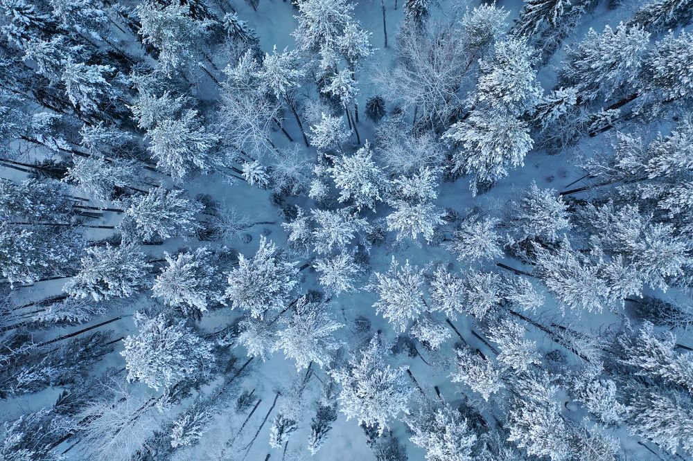 Photograph by Геннадий Ковалевский