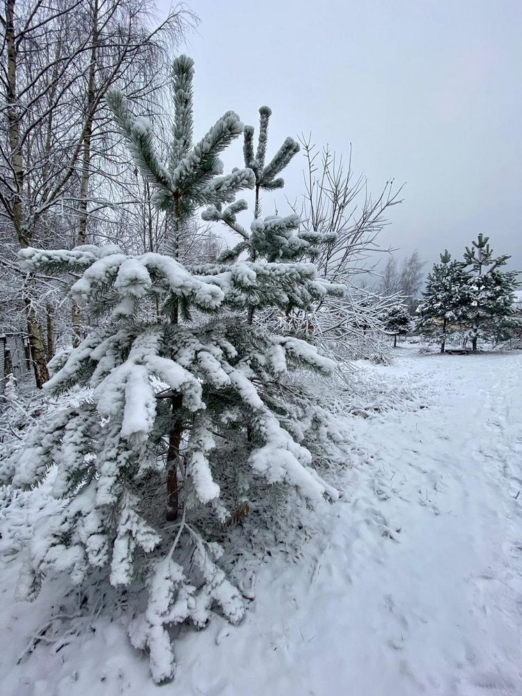 Photograph by Galina Leskova