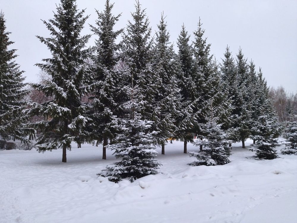 Photograph by Карина Шаланкова