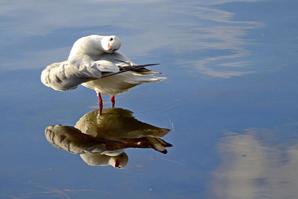 Photograph by Бахарева Людмила