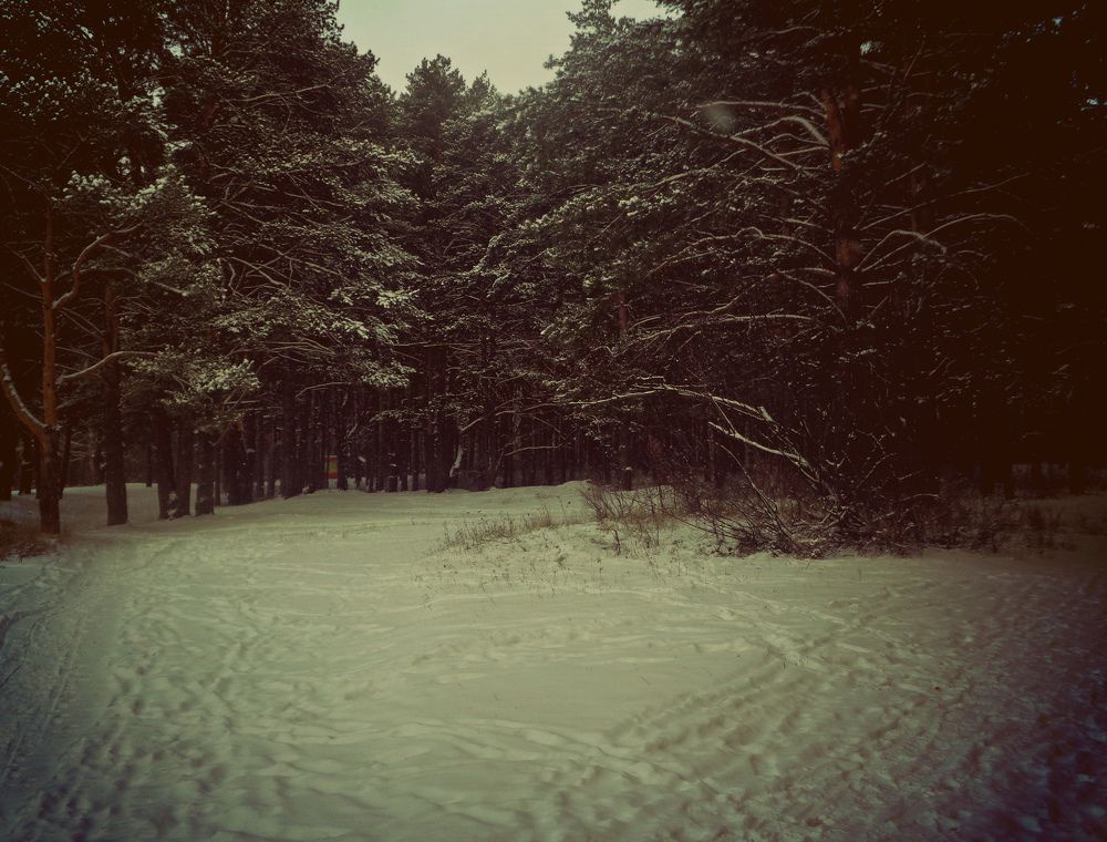 Photograph by Карина Шаланкова