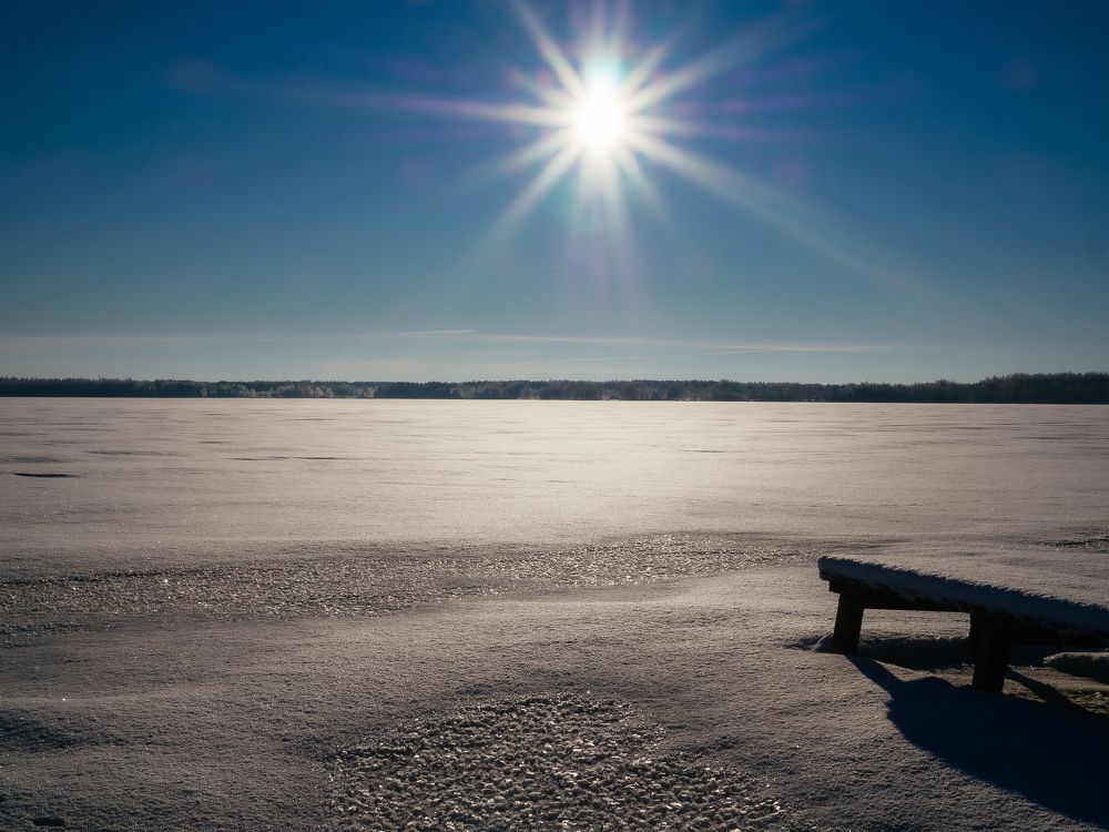 Photograph by Городничева Елена